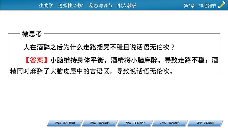 2021-2022学年高中生物新人教版选择性必修1 第2章 第4节 神经系统的分级调节 课件（53张）07