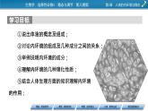 2021-2022学年高中生物新人教版选择性必修1 第1章 第1节 细胞生活的环境 课件（86张）