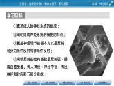 2021-2022学年高中生物新人教版选择性必修1 第2章 第1节 神经调节的结构基础 课件（69张）