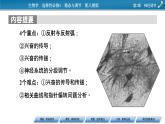 2021-2022学年高中生物新人教版选择性必修1 第2章 第1节 神经调节的结构基础 课件（69张）
