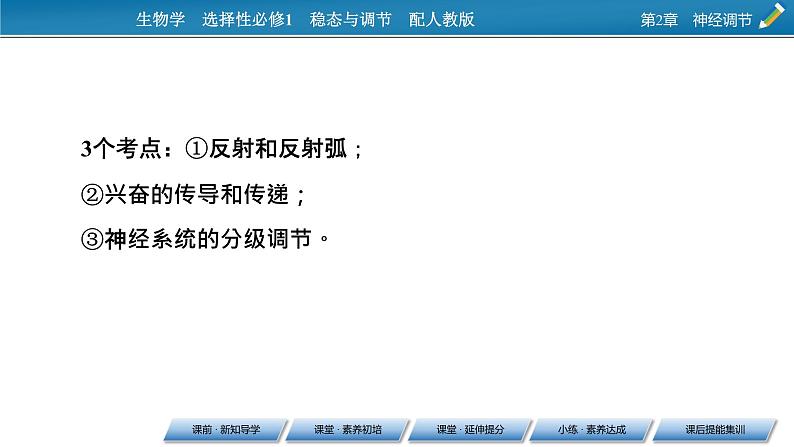 2021-2022学年高中生物新人教版选择性必修1 第2章 第1节 神经调节的结构基础 课件（69张）05