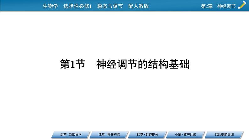 2021-2022学年高中生物新人教版选择性必修1 第2章 第1节 神经调节的结构基础 课件（69张）06