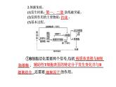 2021-2022学年高中生物新人教版选择性必修1 第4章 第2节  特异性免疫 课件（34张）