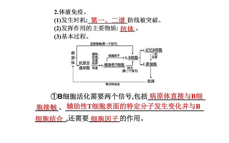 2021-2022学年高中生物新人教版选择性必修1 第4章 第2节  特异性免疫 课件（34张）第4页