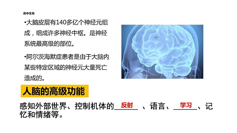 2021-2022学年高中生物新人教版选择性必修1  第2章 第5节 人脑的高级功能 课件（20张）第4页