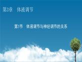 2021-2022学年高中生物新人教版选择性必修1 第3章 第3节 体液调节与神经调节的关系 课件（78张）