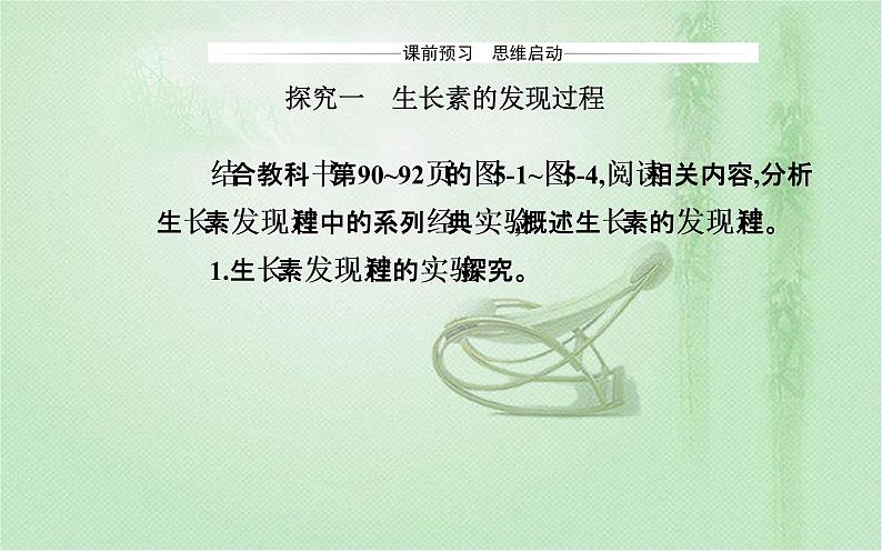 2021-2022学年高中生物新人教版选择性必修1 第5章 第1节  植物生长素 课件（47张）第3页