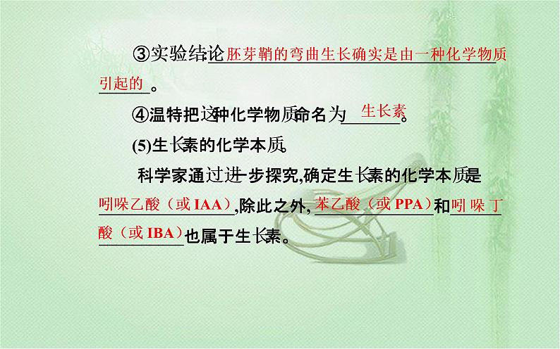 2021-2022学年高中生物新人教版选择性必修1 第5章 第1节  植物生长素 课件（47张）第8页