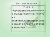 2021-2022学年高中生物新人教版选择性必修1 第2章 第3节  神经冲动的产生和传导 课件（43张）