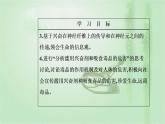 2021-2022学年高中生物新人教版选择性必修1 第2章 第3节  神经冲动的产生和传导 课件（43张）