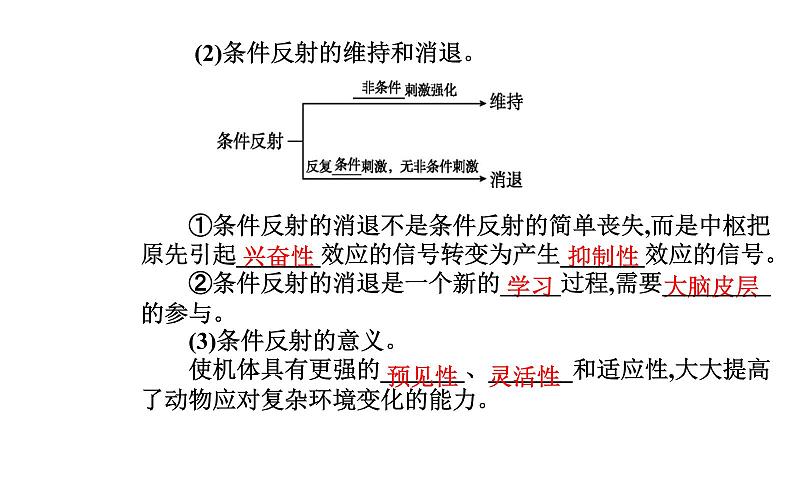 2021-2022学年高中生物新人教版选择性必修1 第2章 第2节  神经调节的基本方式 课件（24张）07