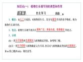 2021-2022学年高中生物新人教版选择性必修1 植物生长调节剂的应用 课件（45张）（鲁辽湘版）