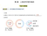 2021-2022学年高中生物新人教版选择性必修1 细胞生活的环境（21张）  课件