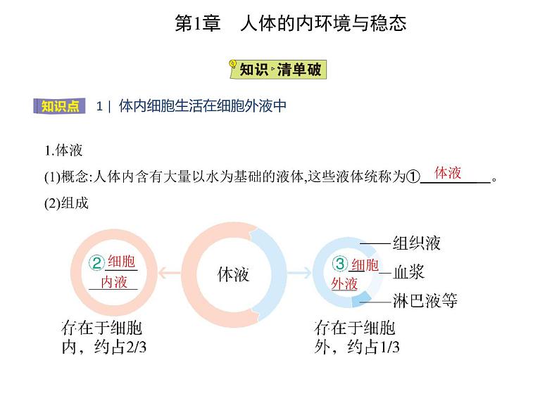 2021-2022学年高中生物新人教版选择性必修1 细胞生活的环境（21张）  课件03