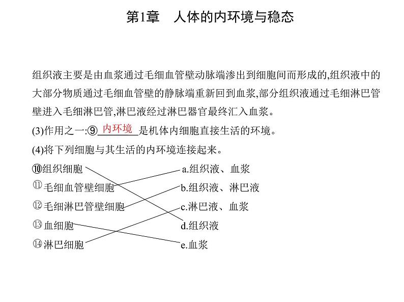 2021-2022学年高中生物新人教版选择性必修1 细胞生活的环境（21张）  课件05