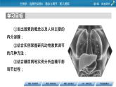 2021-2022学年高中生物新人教版选择性必修1 第3章 第1节 激素与内分泌系统 课件（87张）