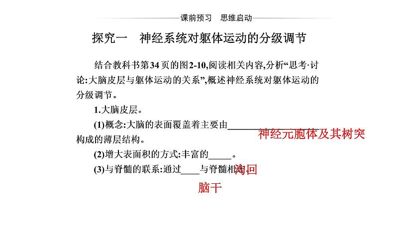 2021-2022学年高中生物新人教版选择性必修1 第2章 第4节  神经系统的分级调节 课件（23张）第3页