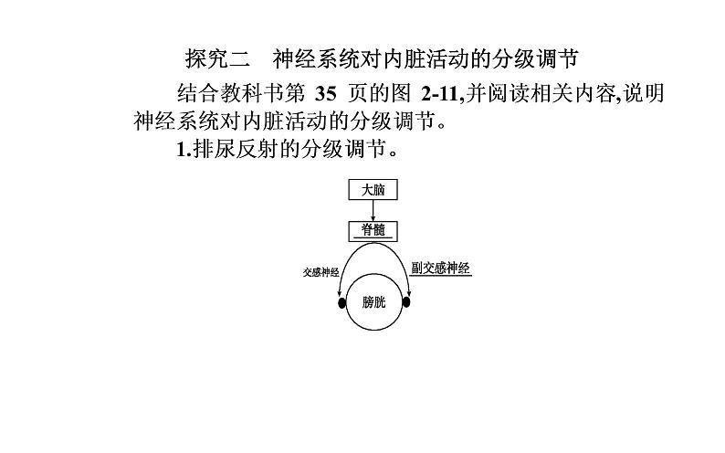 2021-2022学年高中生物新人教版选择性必修1 第2章 第4节  神经系统的分级调节 课件（23张）第5页