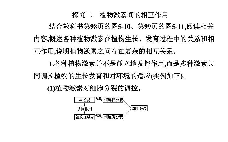 2021-2022学年高中生物新人教版选择性必修1 第5章 第2节  其他植物激素 课件（25张）05