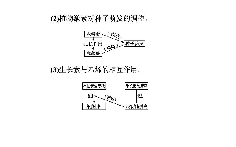 2021-2022学年高中生物新人教版选择性必修1 第5章 第2节  其他植物激素 课件（25张）06