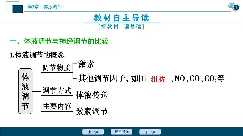 2021-2022学年高中生物新人教版选择性必修1 体液调节与神经调节的关系（50张）课件04