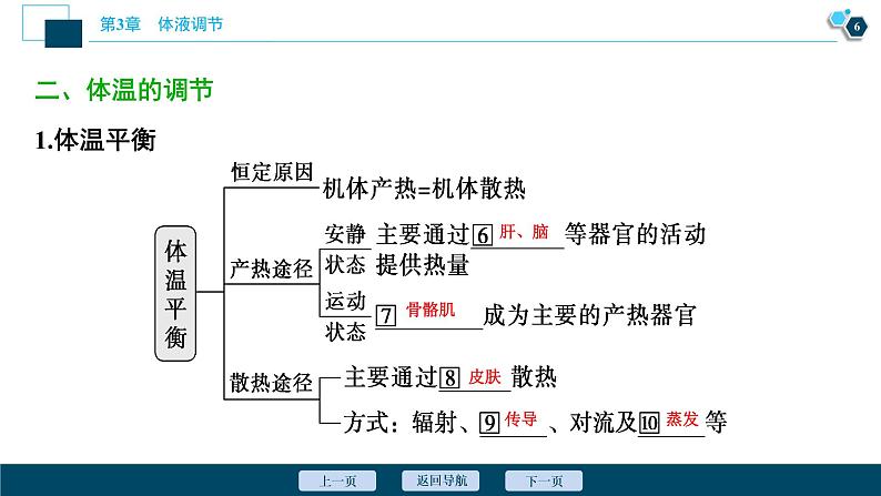 2021-2022学年高中生物新人教版选择性必修1 体液调节与神经调节的关系（50张）课件07