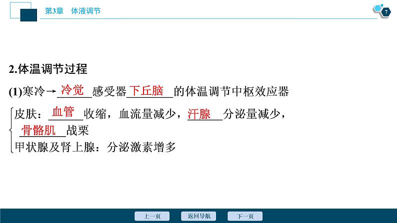 2021-2022学年高中生物新人教版选择性必修1 体液调节与神经调节的关系（50张）课件08