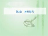 2021-2022学年高中生物新人教版选择性必修1 第2章 第1节  神经调节的结构基础 课件（22张）