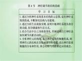 2021-2022学年高中生物新人教版选择性必修1 第2章 第1节  神经调节的结构基础 课件（22张）
