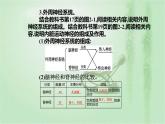 2021-2022学年高中生物新人教版选择性必修1 第2章 第1节  神经调节的结构基础 课件（22张）