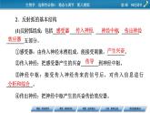 2021-2022学年高中生物新人教版选择性必修1 第2章 第2节 神经调节的基本方式 课件（62张）