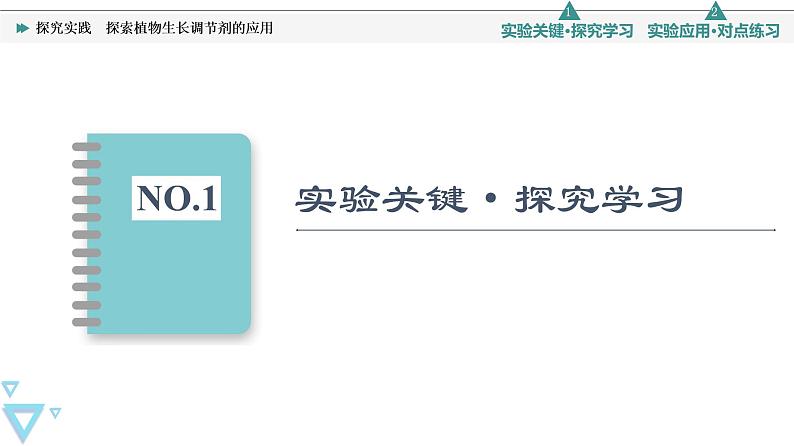 2021-2022学年高中生物新人教版选择性必修1 探究实践　探索植物生长调节剂的应用（18张）  课件02