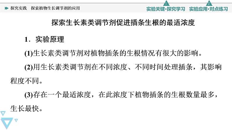 2021-2022学年高中生物新人教版选择性必修1 探究实践　探索植物生长调节剂的应用（18张）  课件03