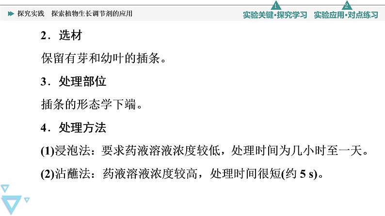 2021-2022学年高中生物新人教版选择性必修1 探究实践　探索植物生长调节剂的应用（18张）  课件04