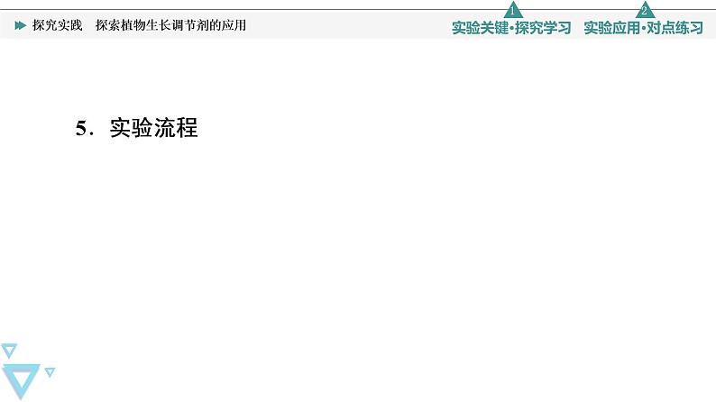 2021-2022学年高中生物新人教版选择性必修1 探究实践　探索植物生长调节剂的应用（18张）  课件05