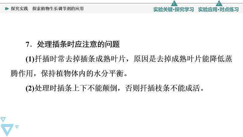 2021-2022学年高中生物新人教版选择性必修1 探究实践　探索植物生长调节剂的应用（18张）  课件07