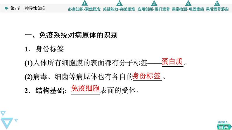 2021-2022学年高中生物新人教版选择性必修1 特异性免疫（45张）  课件第4页