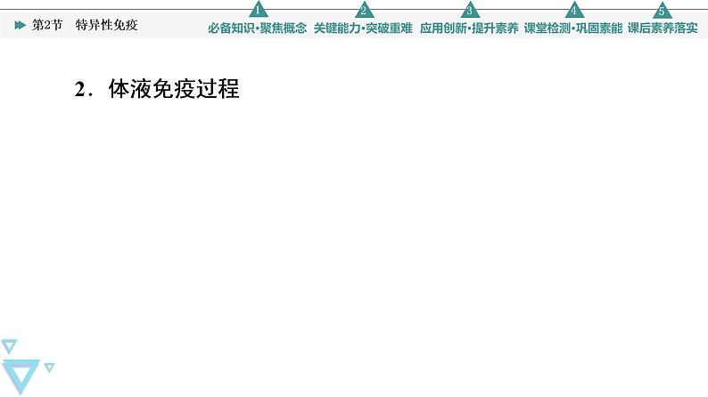 2021-2022学年高中生物新人教版选择性必修1 特异性免疫（45张）  课件第6页