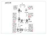 2021-2022学年高中生物新人教版选择性必修1 特异性免疫 课件（34张）（鲁辽湘版）