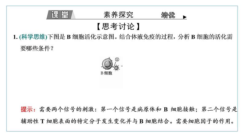 2021-2022学年高中生物新人教版选择性必修1 特异性免疫 课件（34张）（鲁辽湘版）第7页