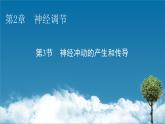 2021-2022学年高中生物新人教版选择性必修1 第2章 第3节 神经冲动的产生和传导 课件（84张）