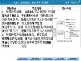 2021-2022学年高中生物新人教版选择性必修1 第2章 第3节 神经冲动的产生和传导 课件（84张）