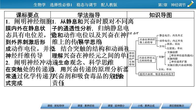 2021-2022学年高中生物新人教版选择性必修1 第2章 第3节 神经冲动的产生和传导 课件（84张）第2页