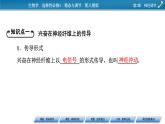 2021-2022学年高中生物新人教版选择性必修1 第2章 第3节 神经冲动的产生和传导 课件（84张）