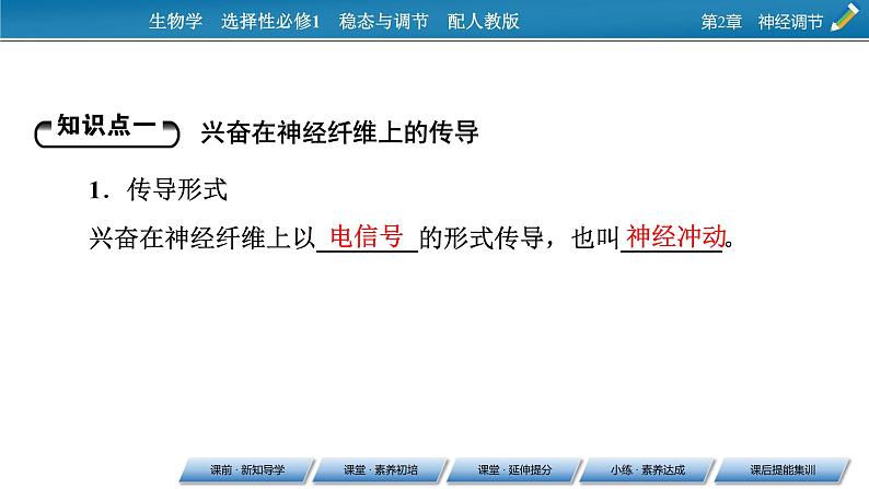 2021-2022学年高中生物新人教版选择性必修1 第2章 第3节 神经冲动的产生和传导 课件（84张）第4页