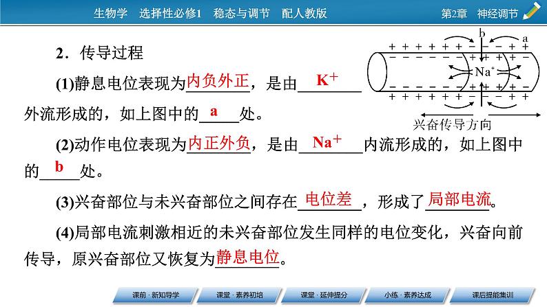 2021-2022学年高中生物新人教版选择性必修1 第2章 第3节 神经冲动的产生和传导 课件（84张）第5页