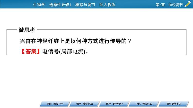 2021-2022学年高中生物新人教版选择性必修1 第2章 第3节 神经冲动的产生和传导 课件（84张）第6页