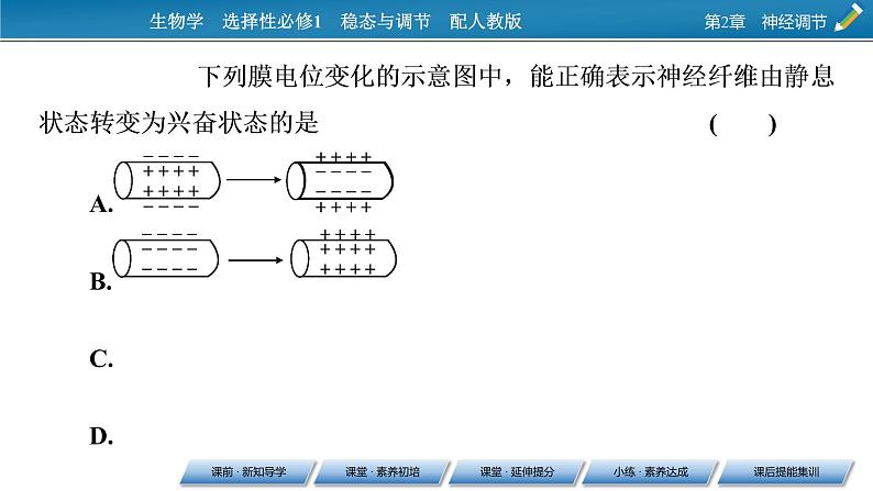 2021-2022学年高中生物新人教版选择性必修1 第2章 第3节 神经冲动的产生和传导 课件（84张）第7页