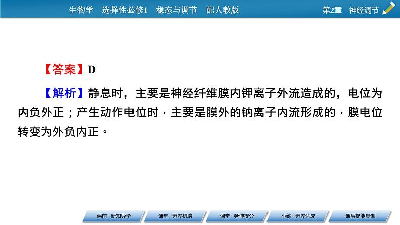 2021-2022学年高中生物新人教版选择性必修1 第2章 第3节 神经冲动的产生和传导 课件（84张）第8页