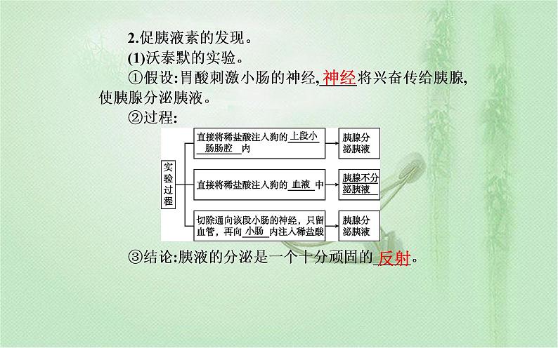 2021-2022学年高中生物新人教版选择性必修1 第3章 第1节  激素与内分泌系统 课件（35张）第4页